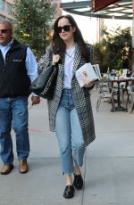 DAKOTA JOHNSON Returning to Her Hotel in New York 10/18/2017