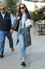 DAKOTA JOHNSON Returning to Her Hotel in New York 10/18/2017