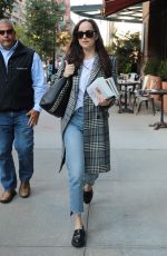 DAKOTA JOHNSON Returning to Her Hotel in New York 10/18/2017