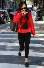 DAKOTA JOHNSON Shopping at a Book Store in New York 10/18/2017