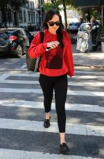 DAKOTA JOHNSON Shopping at a Book Store in New York 10/18/2017