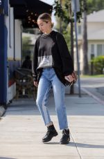 DELILAH HAMLIN Heading to Skin Treatment Session in West Hollywood 10/19/2017