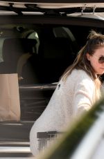 HAYLIE DUFF Out Shopping in Los Angeles 10/12/2017