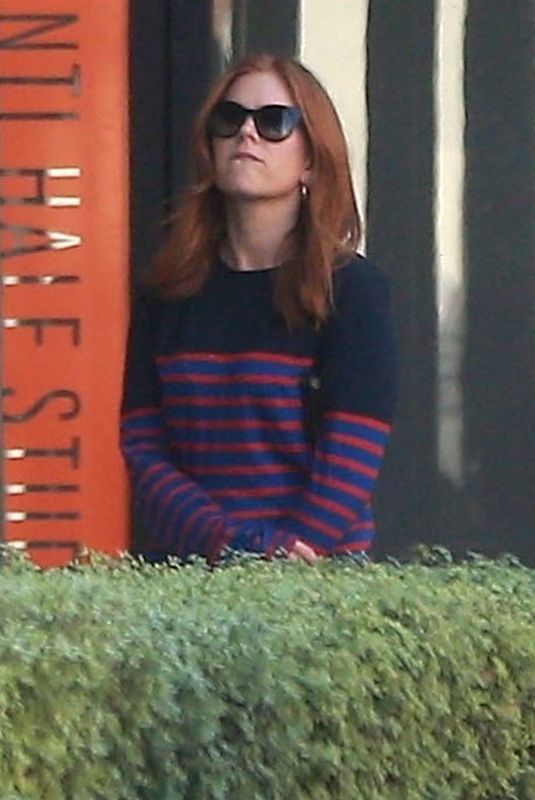 ISLA FISHER at Cafe Gratitude in Beverly Hills 10/08/2017