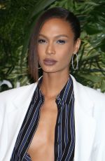 JOAN SMALLS at God’s Love We Deliver, Golden Heart Awards in New York 10/16/2017