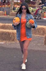 KOURTNEY KARDASHIAN Buy Pumpkins in Moorpark 10/29/2017