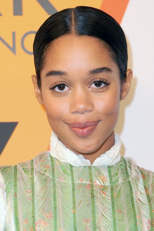LAURA HARRIER at Volez, Voguez, Voyagez: Louis Vuitton Exhibition Opening in New York 10/26/2017