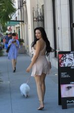 MARA TEIGEN Out with Her Dog in Beverly Hills 10/16/2017