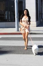 MARA TEIGEN Out with Her Dog in Beverly Hills 10/16/2017
