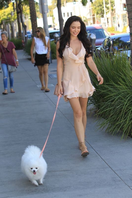 MARA TEIGEN Out with Her Dog in Beverly Hills 10/16/2017