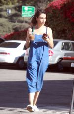 MILA KUNIS Out in Los Angeles 10/25/2017