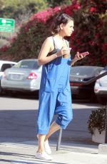 MILA KUNIS Out in Los Angeles 10/25/2017