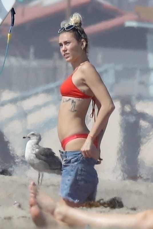 MILEY CYRUS in Bikini Top and Denim Shorts at a Beach in Malibu 10/16/2017