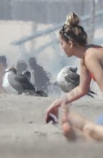 MILEY CYRUS in Bikini Top and Denim Shorts at a Beach in Malibu 10/16/2017