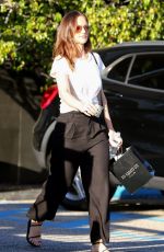 MINKA KELLY Out Shopping in Beverly Hills 10/06/2017