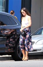 MINKA KELLY Shopping at Whole Foods in West Hollywood 10/13/2017