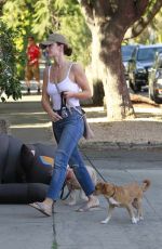 MINKA KELLY Take Her Dogs to Pet Care in West Hollywood 10/17/2017