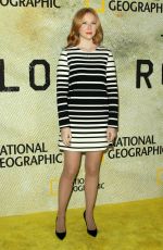 MOLLY QUINN at The Long Road Home Premiere in Los Angeles 10/30/2017