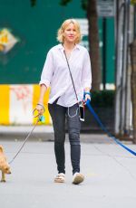 NAOMI WATTS Out with Her Dogs in New York 10/15/2017