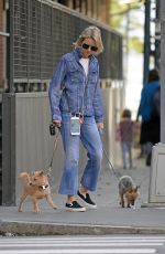 NAOMI WATTS Out Withe Her Dogs in New York 10/12/2017