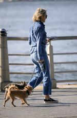 NAOMI WATTS Out Withe Her Dogs in New York 10/12/2017