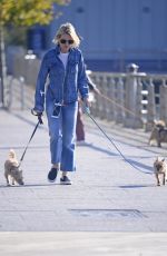 NAOMI WATTS Out Withe Her Dogs in New York 10/12/2017