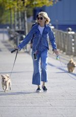 NAOMI WATTS Out Withe Her Dogs in New York 10/12/2017