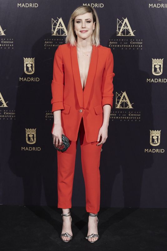 NATALIA DE MOLINA at Academy of Motion Picture Arts and Sciences Photocall in Madrid 10/09/2017