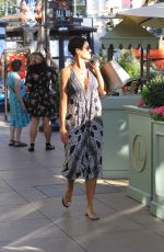 NICOLE MURPHY Out Shopping in Hollywood 10/25/2017