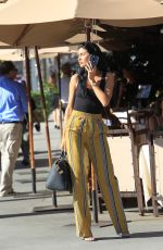 NICOLE WILLIAMS and Larry English Out for Lunch in Beverly Hills 10/25/2017