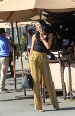 NICOLE WILLIAMS and Larry English Out for Lunch in Beverly Hills 10/25/2017