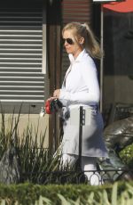 NICOLLETTE SHERIDAN Out and About in Calabasas 10/20/2017