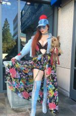 PHOEBE PRICE Out for Lunch in Beverly Hills 10/09/2017