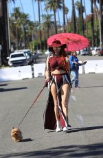 PHOEBE PRICE Walks Her Dog Out in Beverly Hills 10/21/2017