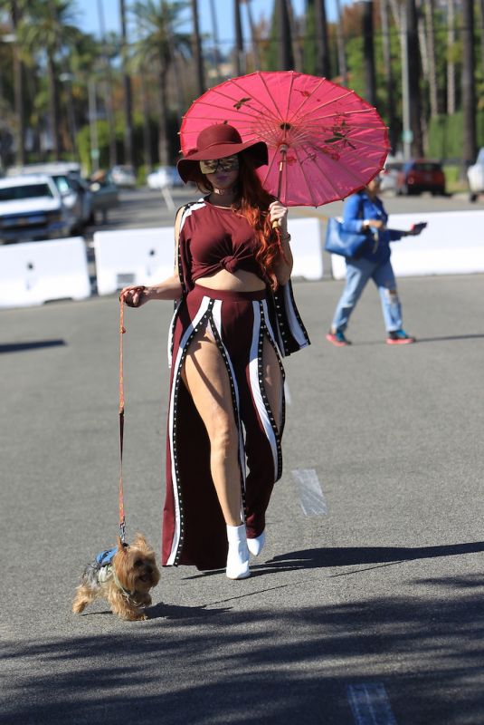PHOEBE PRICE Walks Her Dog Out in Beverly Hills 10/21/2017