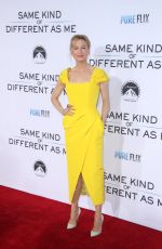 RENEE ZELLWEGER at Same Kind of Different As Me Premiere in Los Angeles 10/12/2017