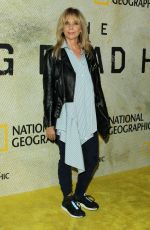 ROSANNA ARQUETTE at The Long Road Home Premiere in Los Angeles 10/30/2017