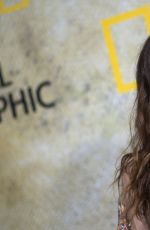SARAH WAYNE CALLIES at TheLong Road Home Premiere in Los Angeles 10/30/2017