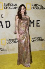 SARAH WAYNE CALLIES at TheLong Road Home Premiere in Los Angeles 10/30/2017