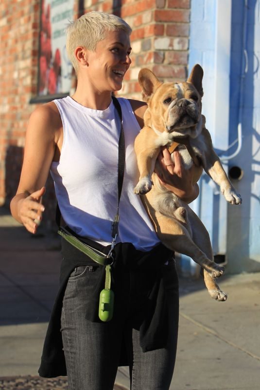 SERINDA SWAN Out with Her Dog in Hollywood 10/04/2017