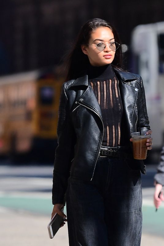 SHANINA SHAIK Out and About in New York 10/18/2017