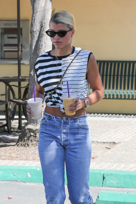 SOFIA RICHIE Out for Drinks in Los Angeles 10/07/2017