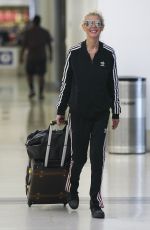 TARA REID at LAX Airport in Los Angeles 10/29/2017