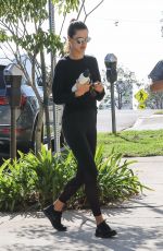 ALESSANDRA AMBROSIO Heading to a Gym in Los Angeles 11/06/2017