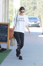 ALESSANDRA AMBROSIO Out in Los Angeles 11/26/2017