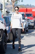 ALESSANDRA AMBROSIO Out in Los Angeles 11/26/2017