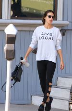 ALESSANDRA AMBROSIO Out in Los Angeles 11/26/2017