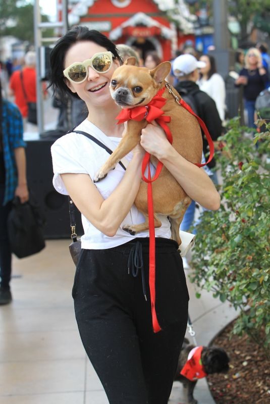 ALESSANDRA TORRESANI Out with Her Dog in Hollywood 11/17/2017