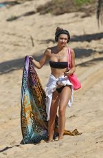 ALEXIS REN in Bikini on the Beach in Hawaii 11/13/2017