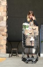 ALICE EVE Out Shopping in Los Angeles 11/18/2017